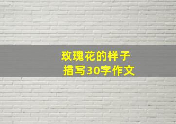 玫瑰花的样子描写30字作文