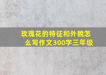 玫瑰花的特征和外貌怎么写作文300字三年级