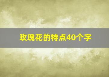 玫瑰花的特点40个字