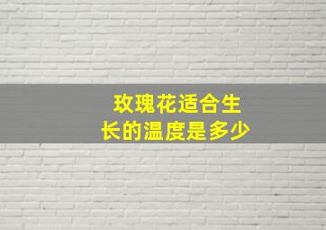 玫瑰花适合生长的温度是多少