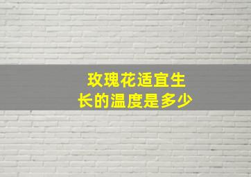 玫瑰花适宜生长的温度是多少