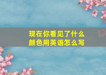 现在你看见了什么颜色用英语怎么写