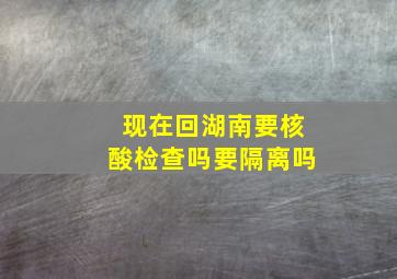 现在回湖南要核酸检查吗要隔离吗