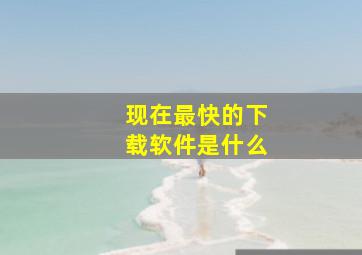 现在最快的下载软件是什么