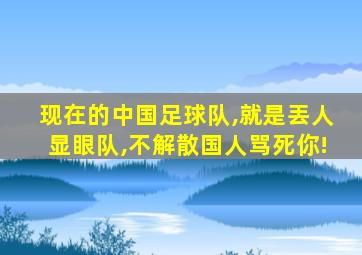 现在的中国足球队,就是丟人显眼队,不解散国人骂死你!