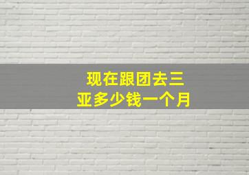 现在跟团去三亚多少钱一个月