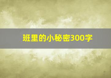 班里的小秘密300字