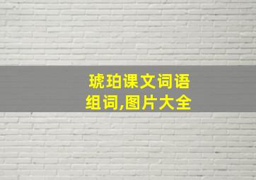 琥珀课文词语组词,图片大全