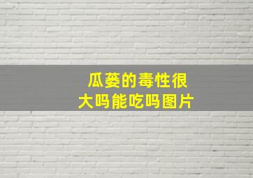 瓜蒌的毒性很大吗能吃吗图片