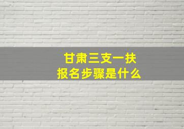 甘肃三支一扶报名步骤是什么