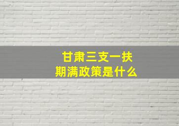 甘肃三支一扶期满政策是什么