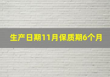 生产日期11月保质期6个月