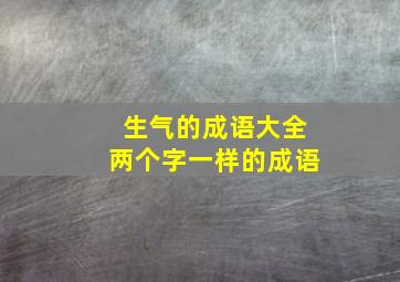 生气的成语大全两个字一样的成语