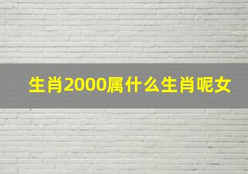 生肖2000属什么生肖呢女