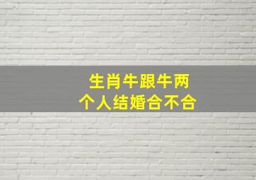 生肖牛跟牛两个人结婚合不合