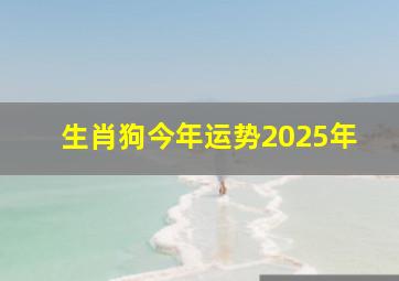 生肖狗今年运势2025年