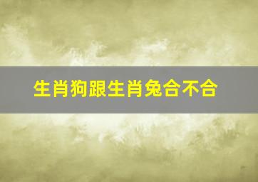 生肖狗跟生肖兔合不合