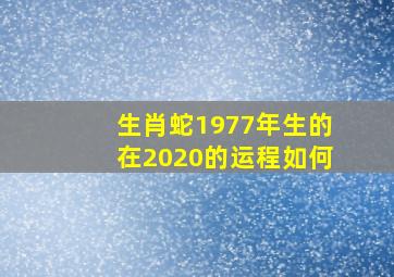 生肖蛇1977年生的在2020的运程如何