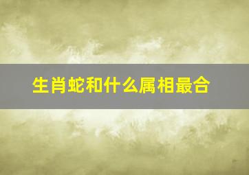 生肖蛇和什么属相最合