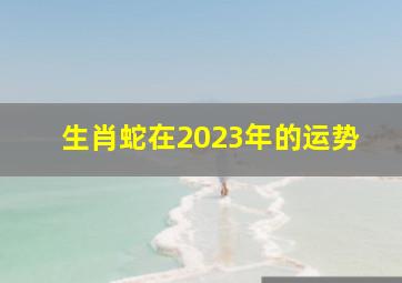 生肖蛇在2023年的运势