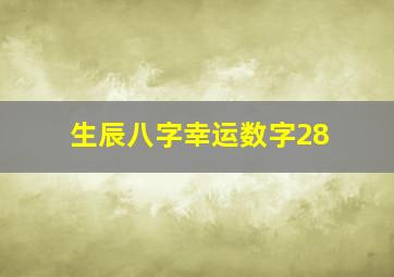 生辰八字幸运数字28