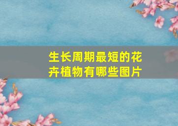 生长周期最短的花卉植物有哪些图片