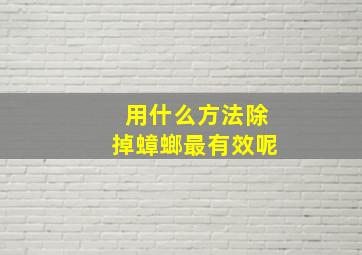 用什么方法除掉蟑螂最有效呢