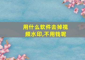 用什么软件去掉视频水印,不用钱呢