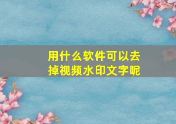 用什么软件可以去掉视频水印文字呢