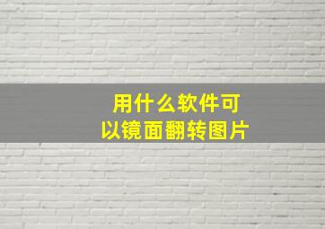 用什么软件可以镜面翻转图片