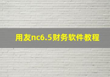 用友nc6.5财务软件教程