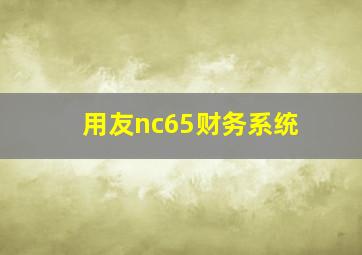 用友nc65财务系统