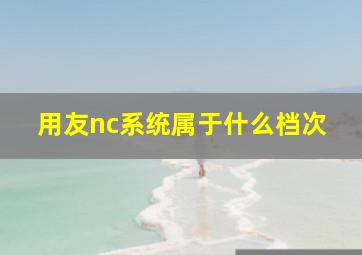 用友nc系统属于什么档次