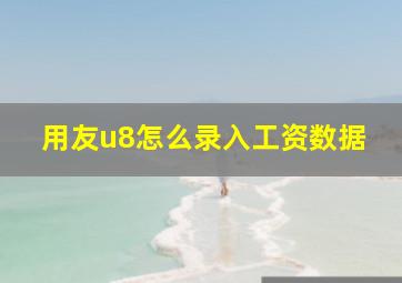 用友u8怎么录入工资数据