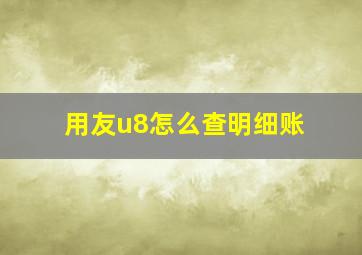 用友u8怎么查明细账