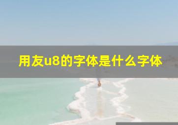 用友u8的字体是什么字体