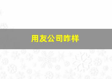 用友公司咋样