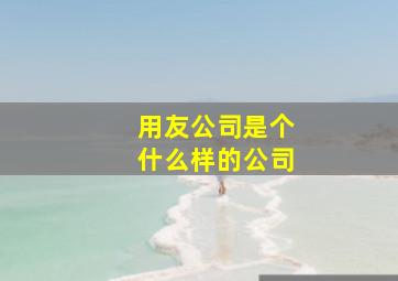 用友公司是个什么样的公司