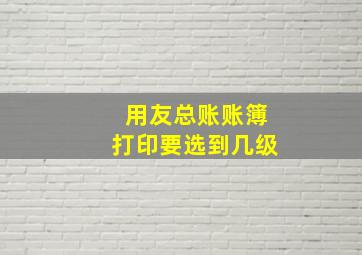 用友总账账簿打印要选到几级