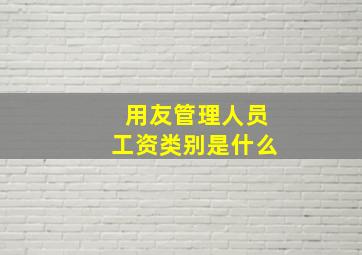 用友管理人员工资类别是什么