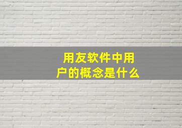 用友软件中用户的概念是什么