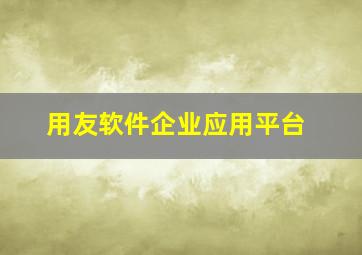 用友软件企业应用平台