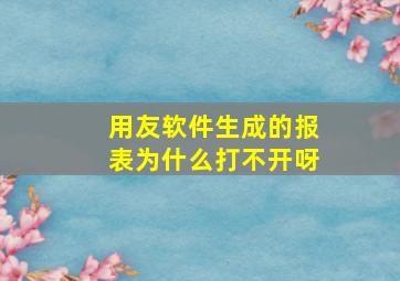 用友软件生成的报表为什么打不开呀