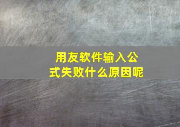 用友软件输入公式失败什么原因呢