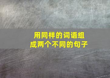 用同样的词语组成两个不同的句子