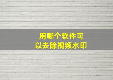 用哪个软件可以去除视频水印