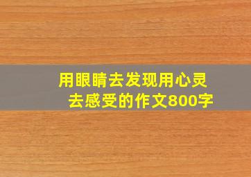 用眼睛去发现用心灵去感受的作文800字