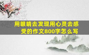 用眼睛去发现用心灵去感受的作文800字怎么写