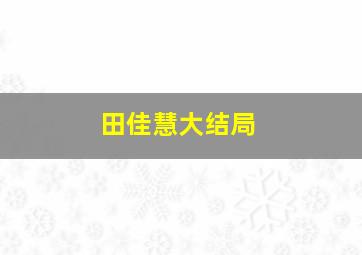 田佳慧大结局