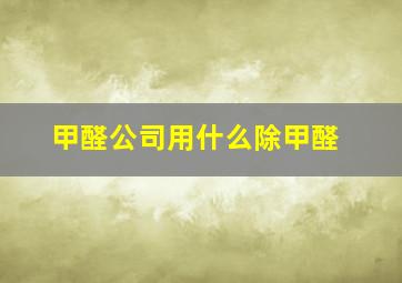 甲醛公司用什么除甲醛